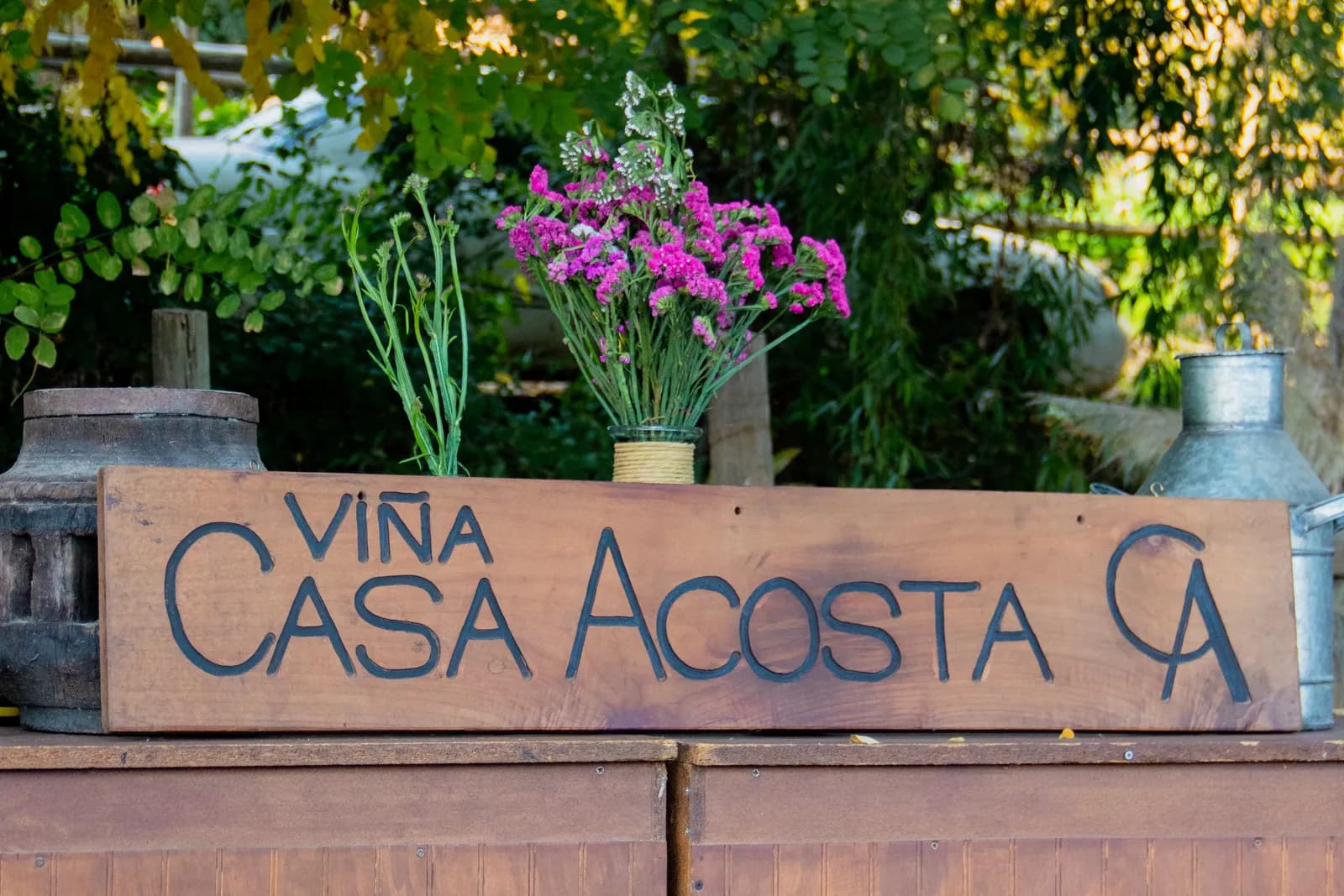 Cartel tallado de Viña Casa Acosta entre las parras del viñedo