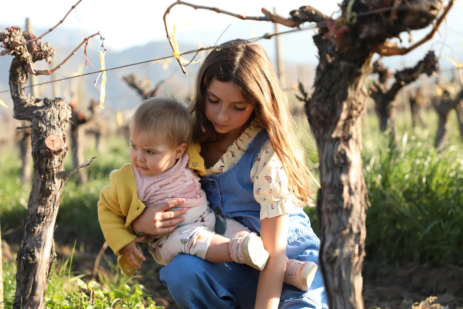 Una niña sostiene a un bebé entre las parras de la viña, a contraluz del atardecer