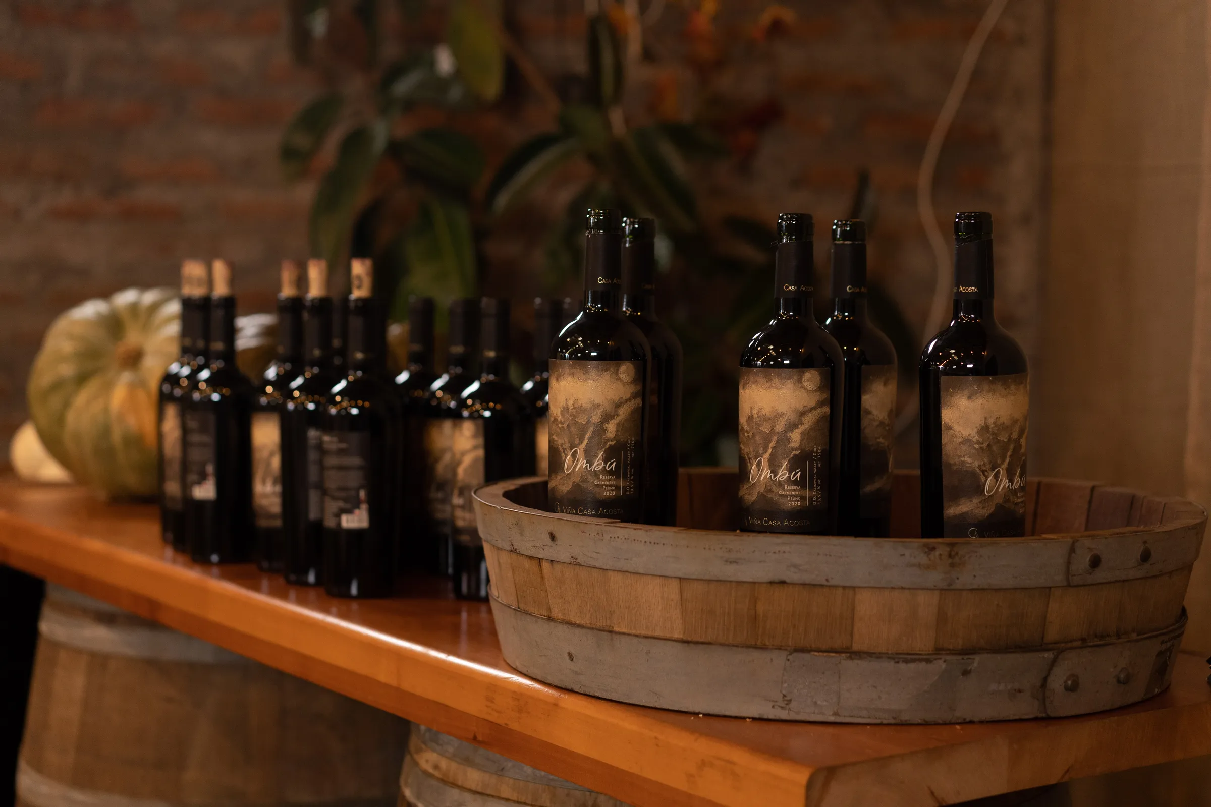Botellas de Ombú Reserva Carménère de Viña Casa Acosta sobre una mesa de madera, iluminadas con luz cálida